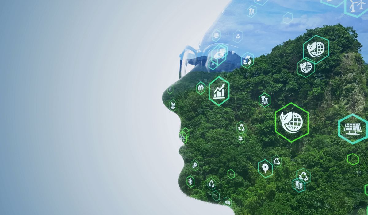 Desenvolvimento Sustentável ou Sustentabilidade?